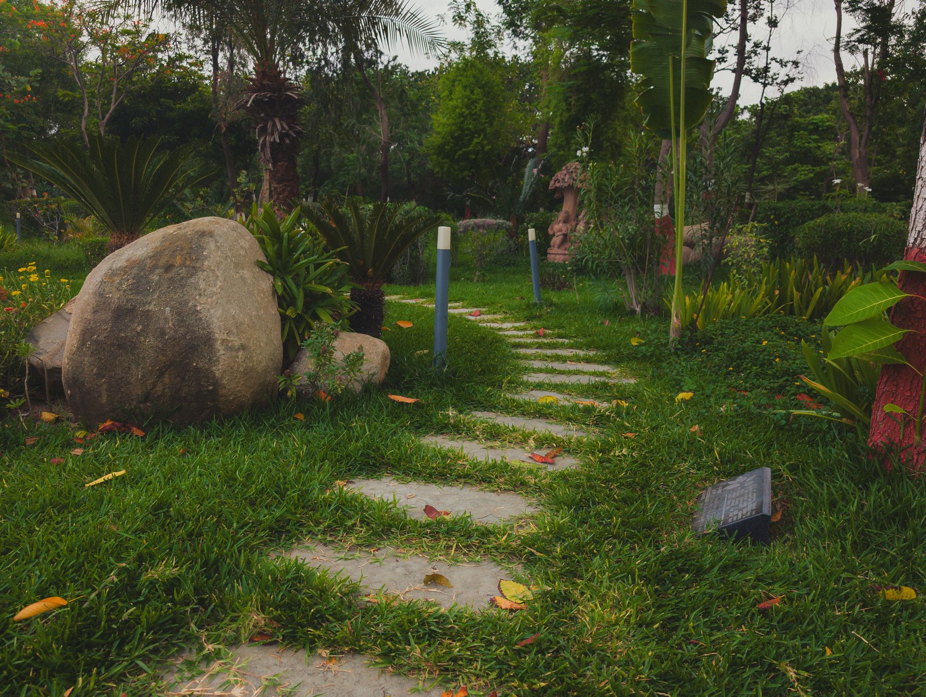 Woodland path and shade garden, Black Mountain